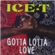 Ice-T - Gotta Lotta Love